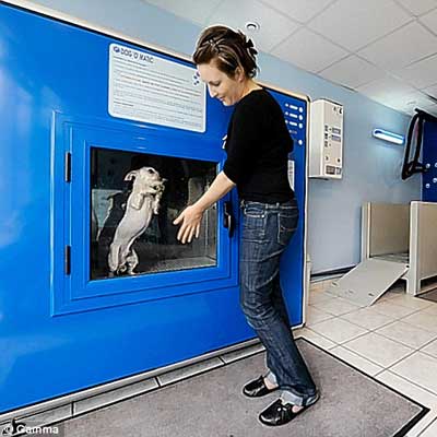 dog washing machine