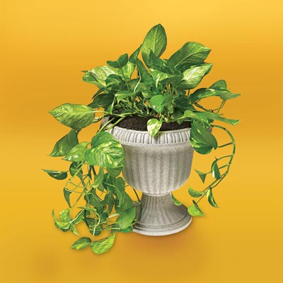 plastic urn after a spray paint makeover