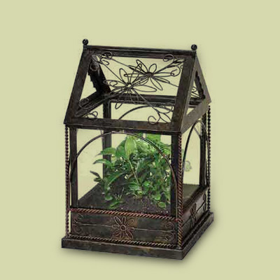 Start an indoor garden