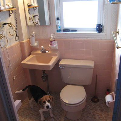 reader remodel bathroom