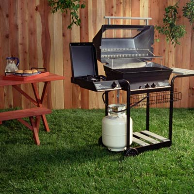 Gas grill