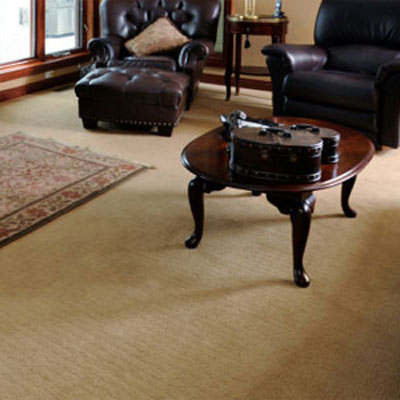 Living room carpet