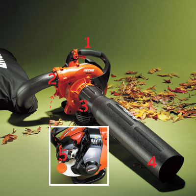 Leaf blower and fall leaves