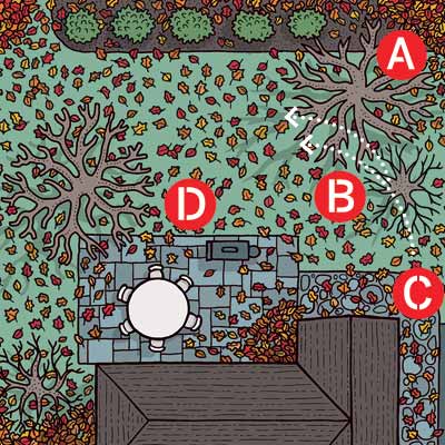 Illustration of yard