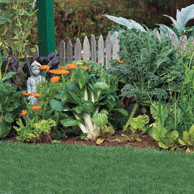 kale, bok choy and orange calendula