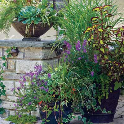 container garden