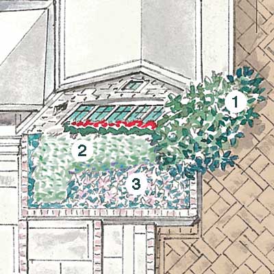 illustration of garden plan