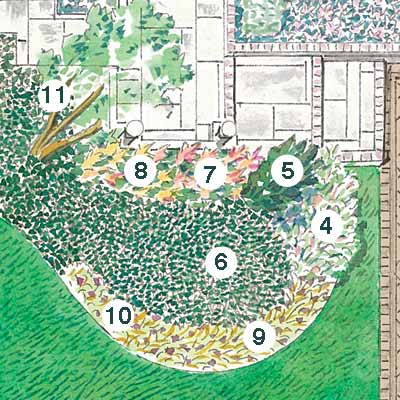 illustration of garden plan