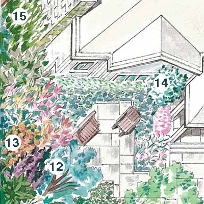 illustration of garden plan