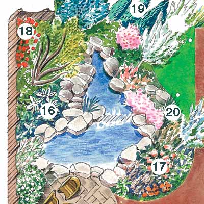 illustration of garden plan