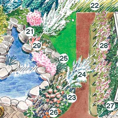 illustration of garden plan