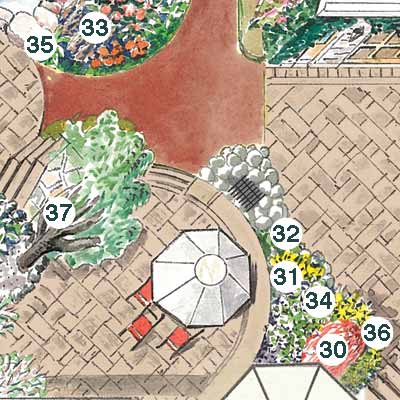 illustration of garden plan