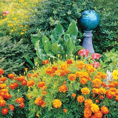 a flowery, colorful garden in late summer with a fountain