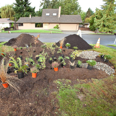 Adding plants to the garden area