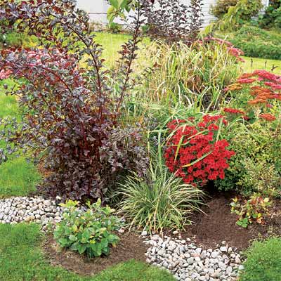 example of rain garden to help you plan