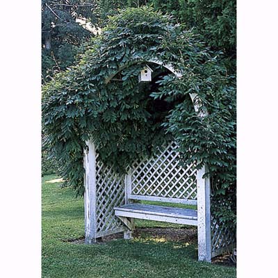 arbor with wisteria and bench in Litchfield, Connecticut, garden