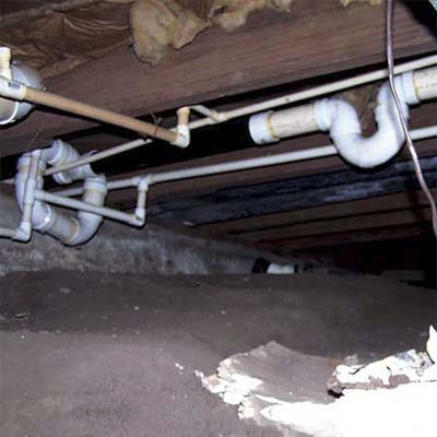 traps set at impossible angles