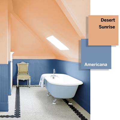 Bathroom Color Ideas 4