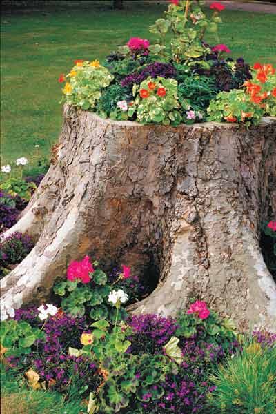 Create a Tree-Stump Planter: March's selection from A Year's Worth of Easy Upgrades gallery from this old house