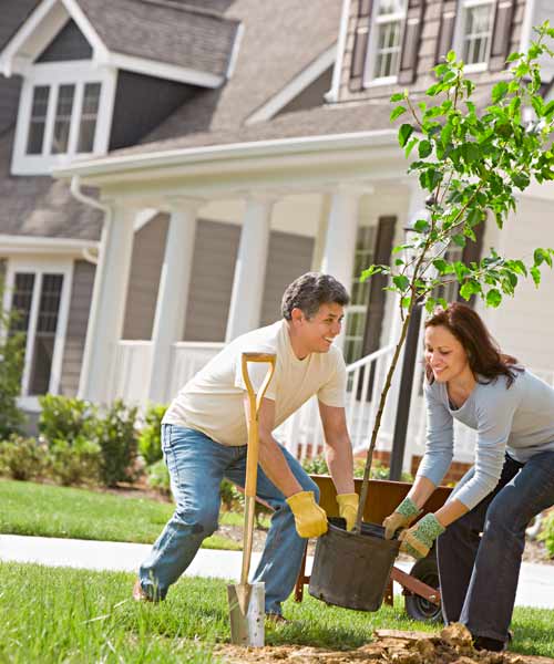 Add a Tree, Save Cash: April's selection from A Year's Worth of Easy Upgrades gallery from this old house