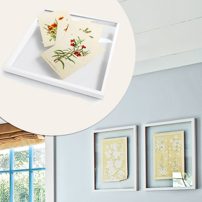 botanical flower image inside white shadow box