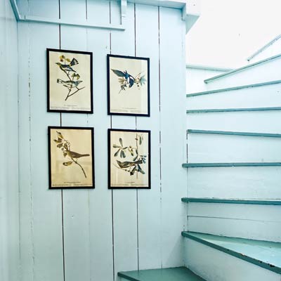 blue staircase