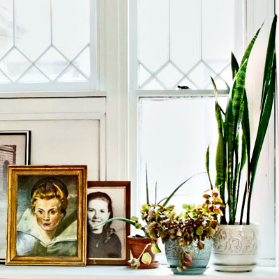 potted plants and photos lined up on window sill 