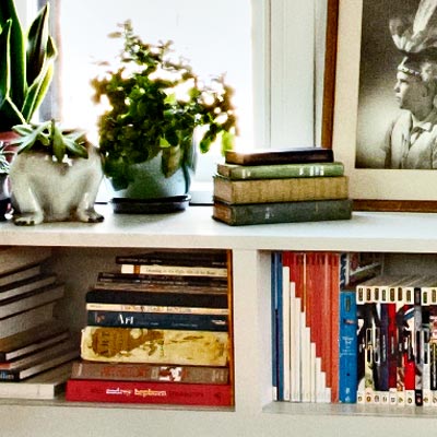 built-in bookshelves with white trim