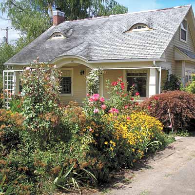 overgrown plants landscaping before house remodel 