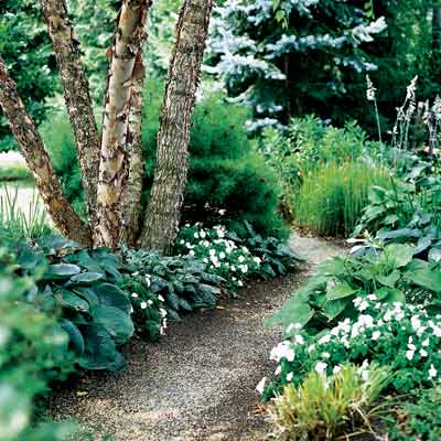 backyard pathway and planting beds with annuals and perennials