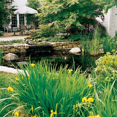 backyard koi pond with waterfall 