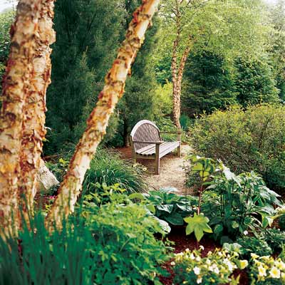 backyard garden with bench