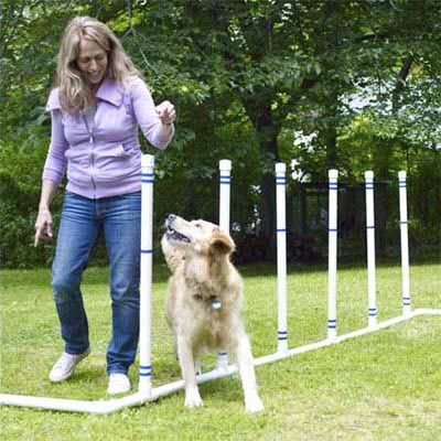 woman and dog playing in yard