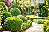 a well-framed, ornate garden path