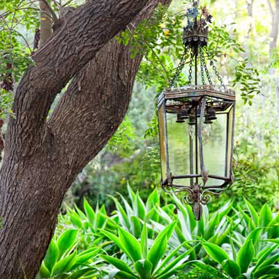 iron lighting pendant hanging from tree over bed of agaves 