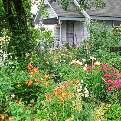 Rustic and Casual Best Plants for a Cottage Garden This Old House