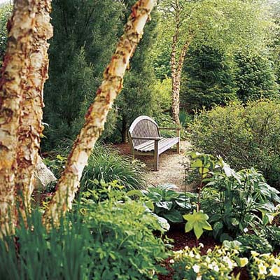 Bench in garden