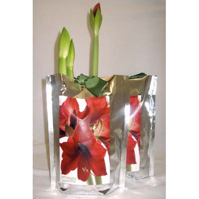 red flowers in leak proof silver bag