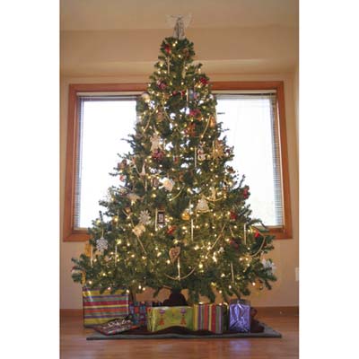 TOH Holiday contest winner, tree category