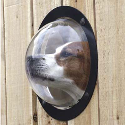 pet peek gadgets