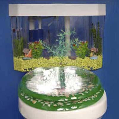 aquarium toilet tank