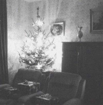 a scrawny christmas tree in the corner