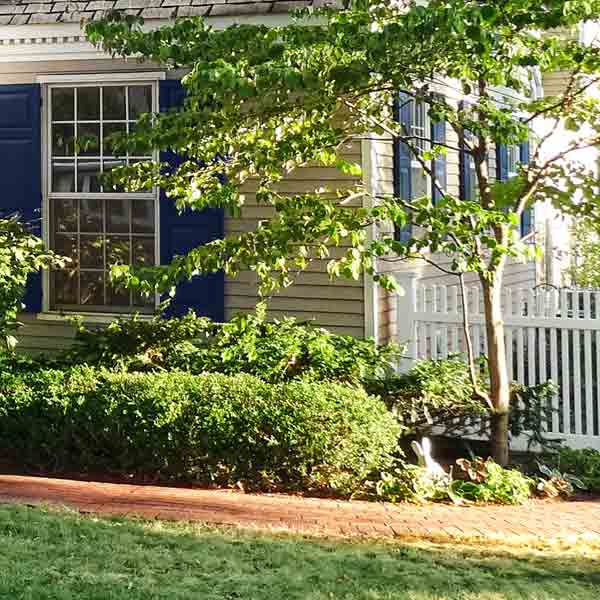 curb appeal boost on budget cape cod style home colonial williamsburg style fence