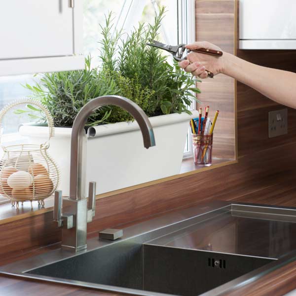 person cutting herbs on kitchen windowsill