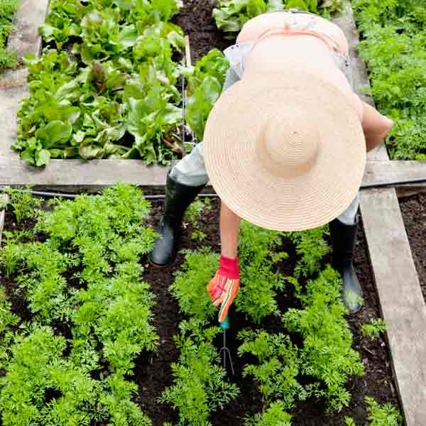 DIY calorie burners woman digging a garden bed