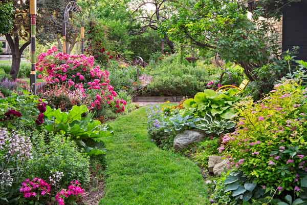 secret garden on urban plot grassy path with perennial beds