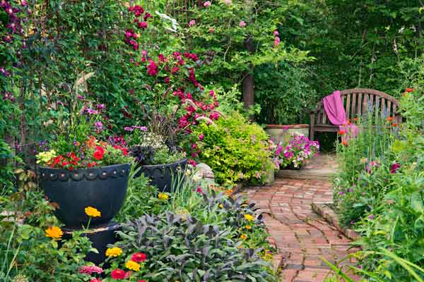 secret garden on urban plot garden bed with zinnia, sage, brick walkway, bench and container plants