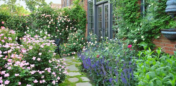 reader remodel contest 2013 before and after cottage garden with roses