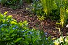 How to Pick The Right Mulch