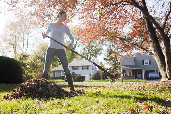 woman standing in yard over a pile of leaves using pvc pipe as a handle extension on a rake with which she's raking up more leaves with houses and fall-foliage trees in the background